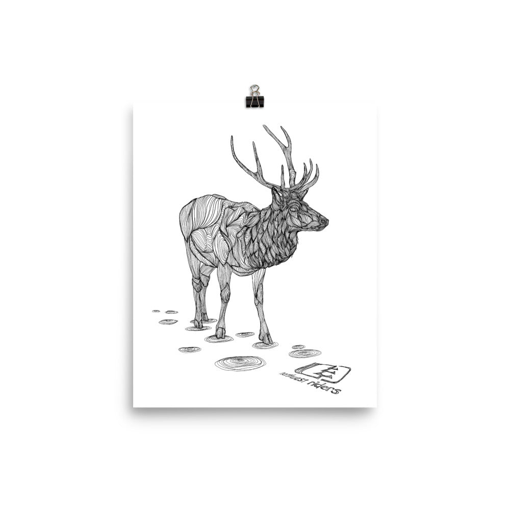 Elk Poster (Matte)