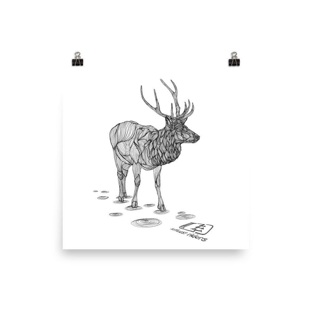 Elk Poster (Matte)